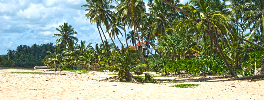 Strand in Tangalle