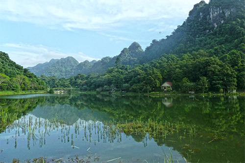 Cuc Phuong Nationalpark / Vietnam